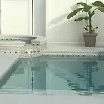 The Starfish